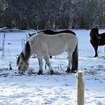 Ny Kirstineberg Gods