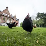 Ny Kirstineberg Gods