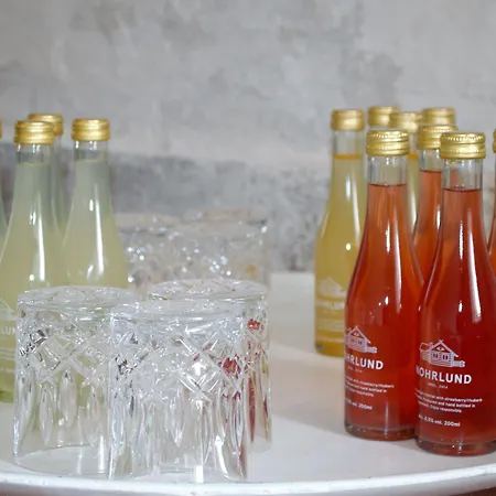 Ny Kirstineberg Gods Feriehus