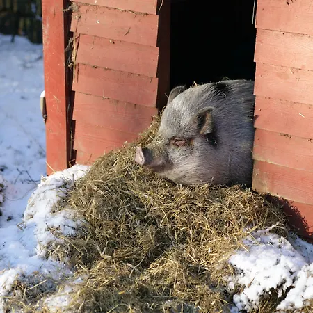Ny Kirstineberg Gods * Nykøbing Falster