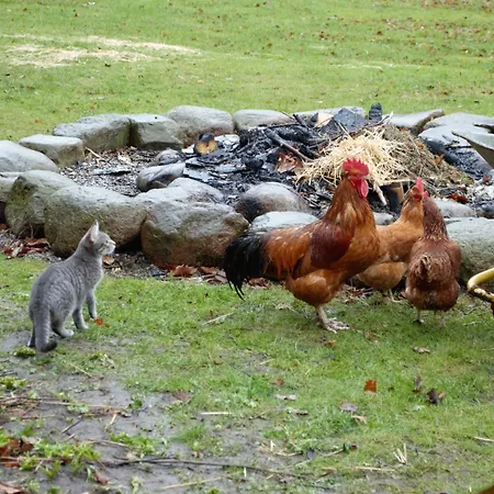 Feriehus Ny Kirstineberg Gods Nykøbing Falster