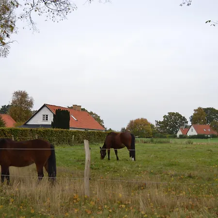 Bed & Breakfast Ny Kirstineberg Gods